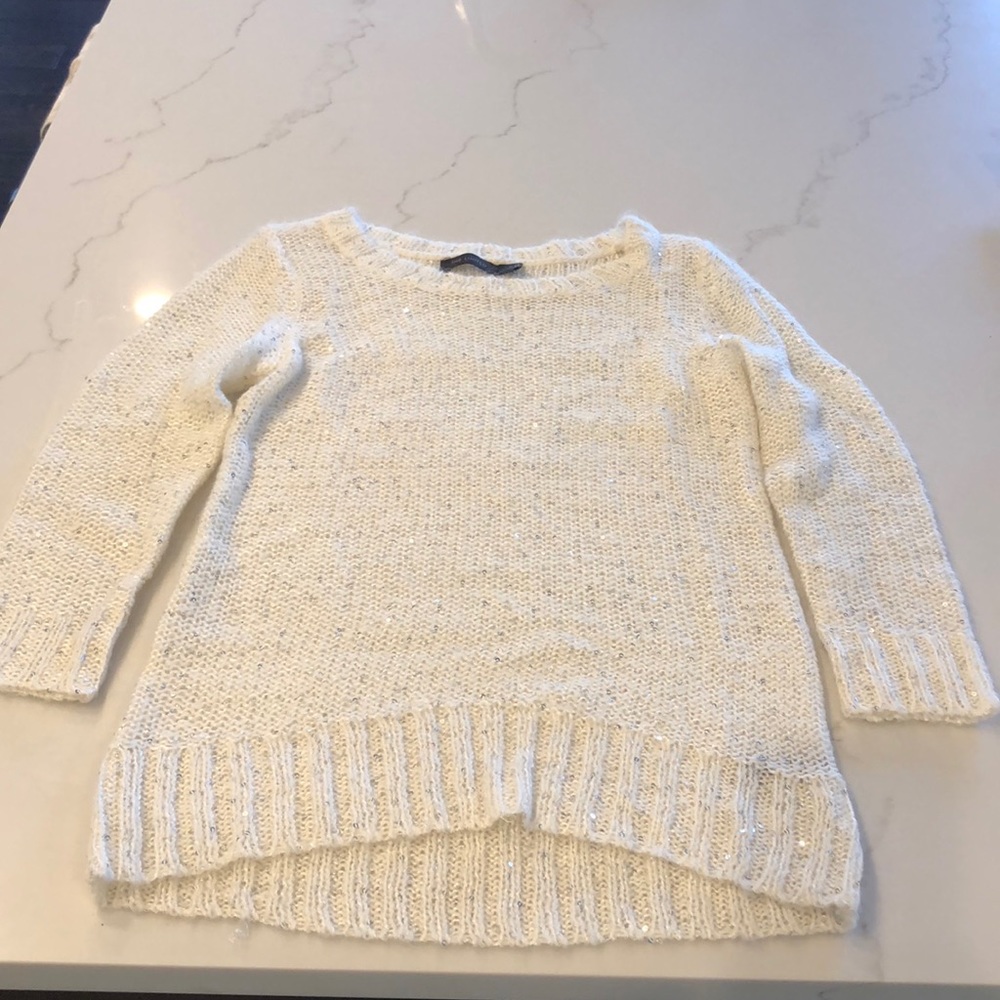 The Limited Sequin sweater